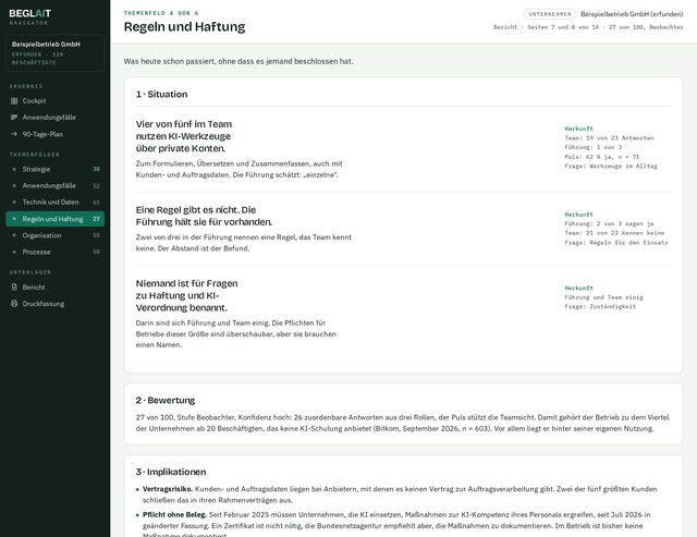 Themenfeld Regeln und Haftung im Musterbericht, Beispiel mit erfundenem Betrieb: drei Befunde, jeder mit Herkunft aus Führung, Team und Puls, darunter die Bewertung 27 von 100.